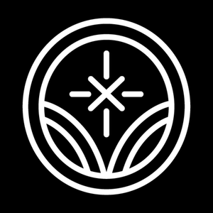 2026 Illuminus Foundation Live Your Light Gala - logo